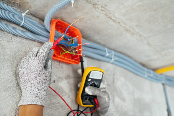Best Electrical System Inspection  in Mauston, WI